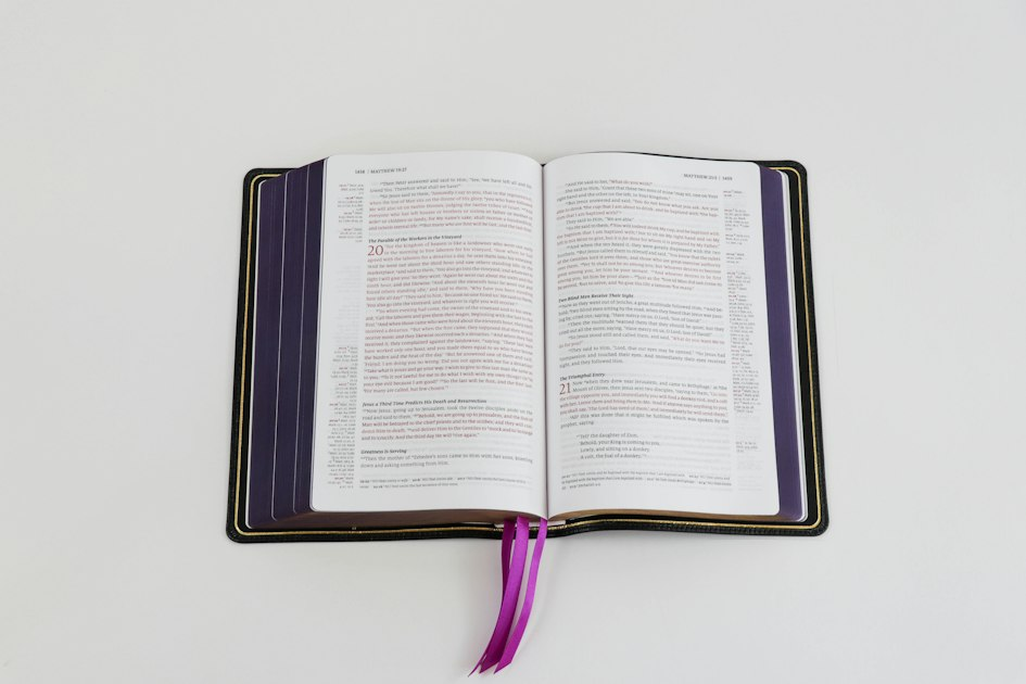 Why Choose the Modern Evangelical Version?
